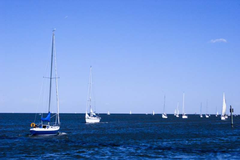 Many sailboats sailing on the blue waters in the Gulf of Mexico